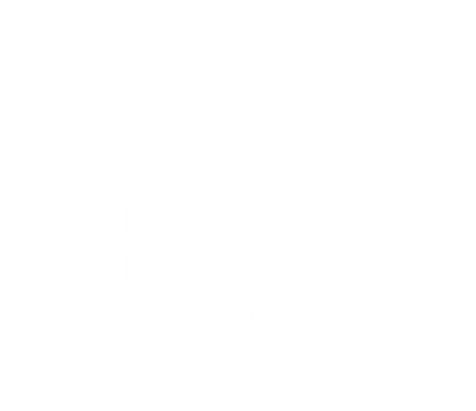 AMS Guincho - Curitiba-PR