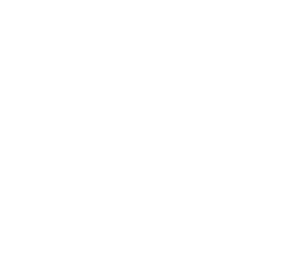 AMS Guincho - Curitiba-PR